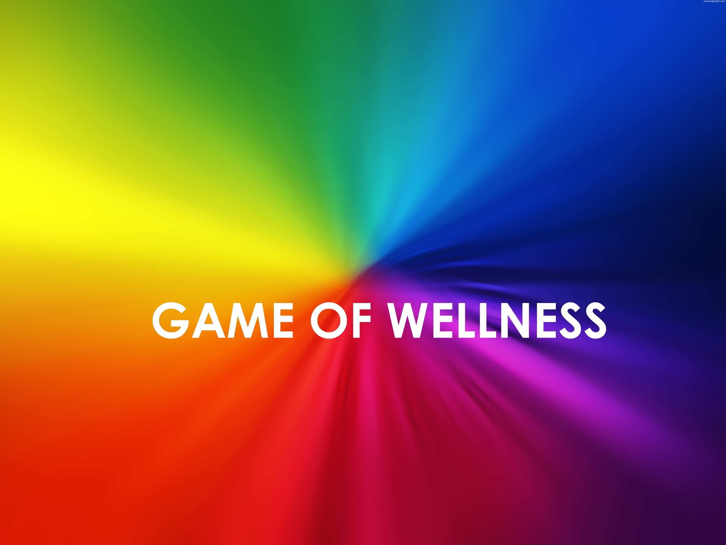 The Game of Wellness - European training course for youth workers - Wellness Blog